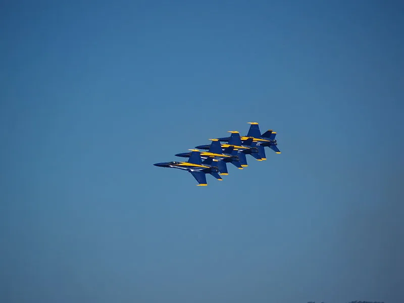 Missed Fleet Week?