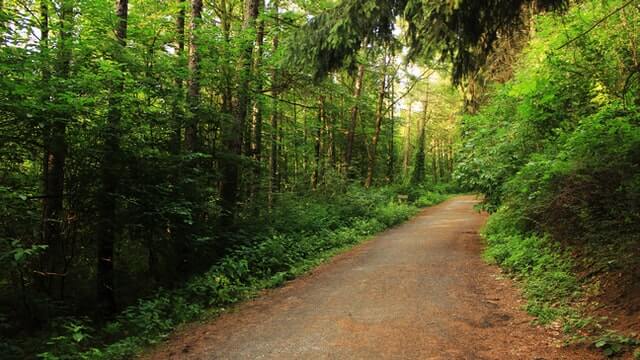 Two Rivers Trail Phase Ii: Improving Pedestrian Safety